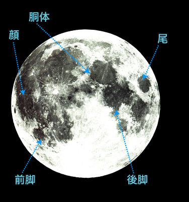 moon_pattern_2-1